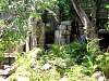 Ta Prohm